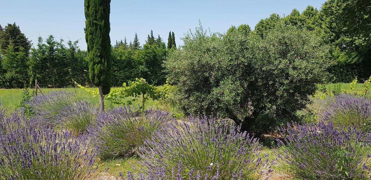 La Pastorale Bed & Breakfast Lagnes Dış mekan fotoğraf