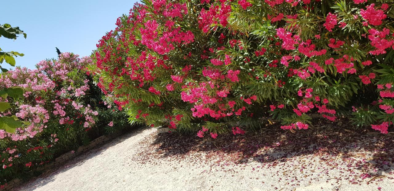 La Pastorale Bed & Breakfast Lagnes Dış mekan fotoğraf